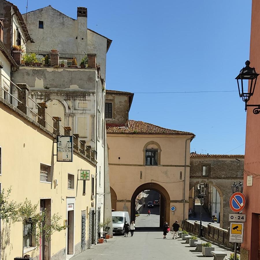 La Chascona Di Farnese Casa Di Tufo Nel Borgo Apartment Bagian luar foto