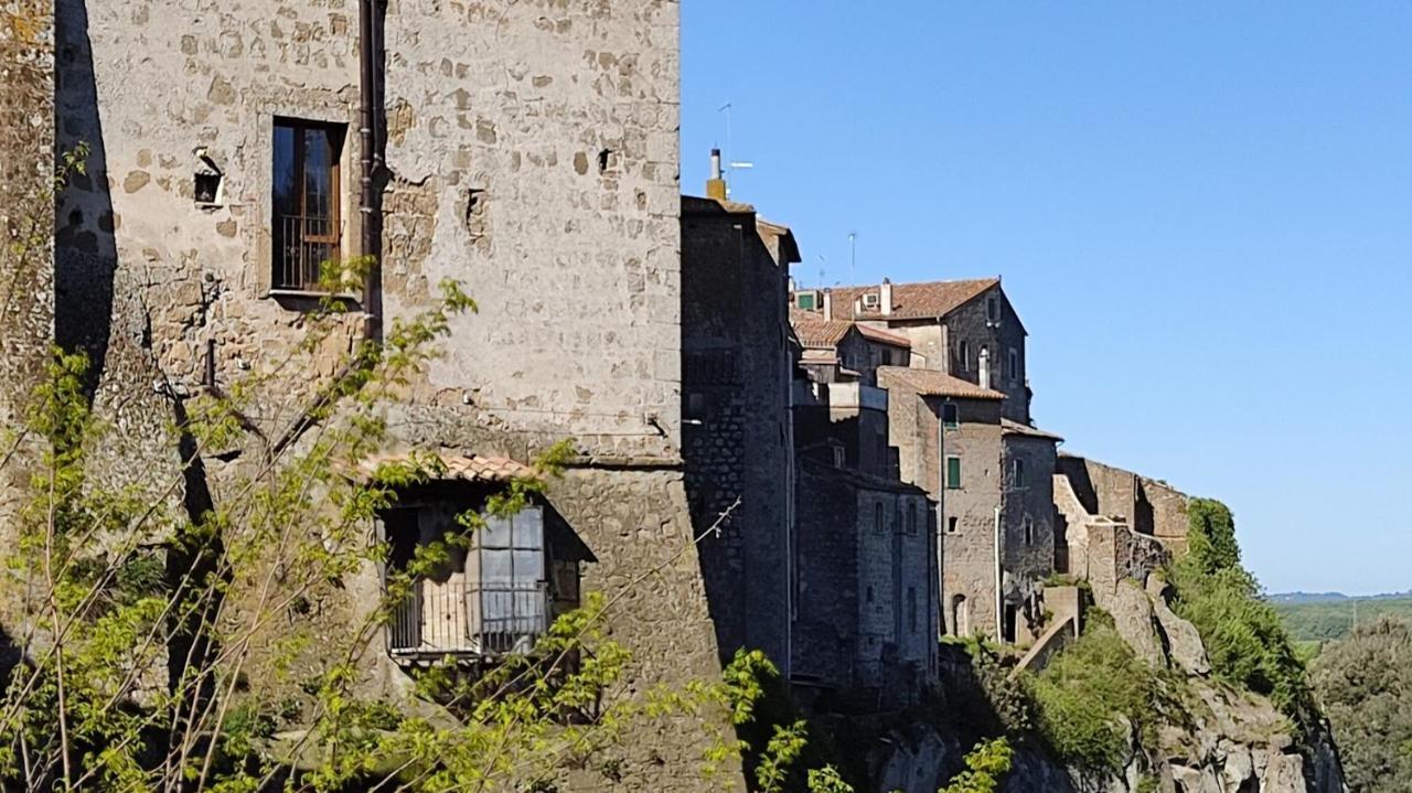 La Chascona Di Farnese Casa Di Tufo Nel Borgo Apartment Bagian luar foto