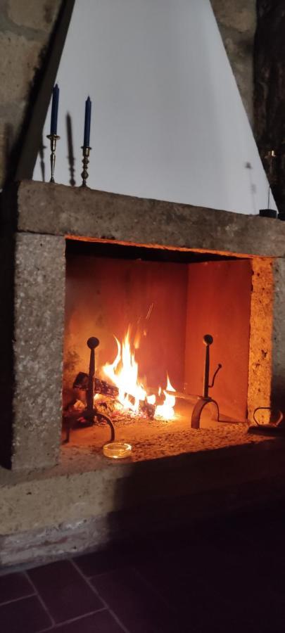 La Chascona Di Farnese Casa Di Tufo Nel Borgo Apartment Bagian luar foto