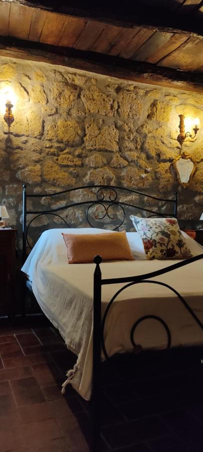 La Chascona Di Farnese Casa Di Tufo Nel Borgo Apartment Bagian luar foto