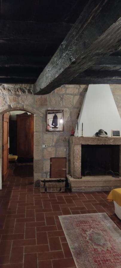 La Chascona Di Farnese Casa Di Tufo Nel Borgo Apartment Bagian luar foto