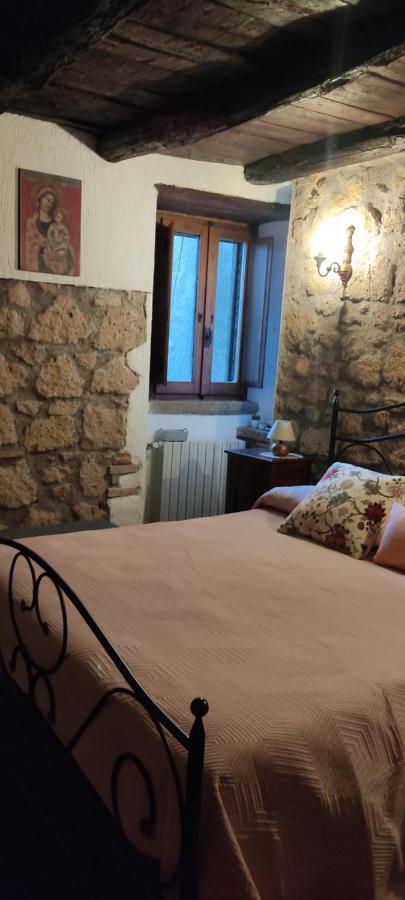 La Chascona Di Farnese Casa Di Tufo Nel Borgo Apartment Bagian luar foto