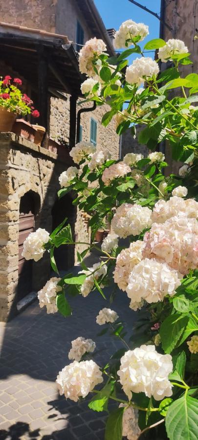 La Chascona Di Farnese Casa Di Tufo Nel Borgo Apartment Bagian luar foto